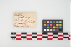 Etikett zu Bronzegewandbesatzknöpfchen (NHMW-PRAE-025726)